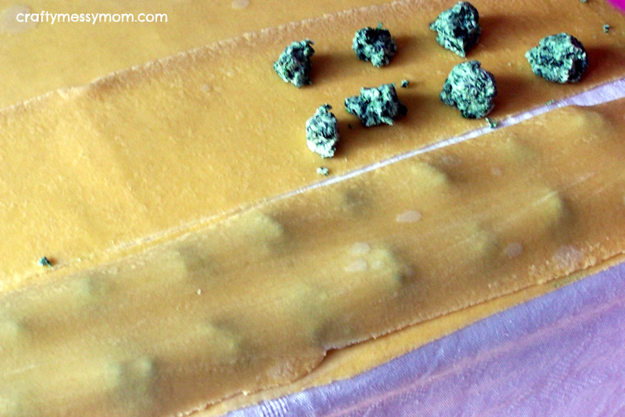Ravioli recipe - step 6 at craftymessymom.com