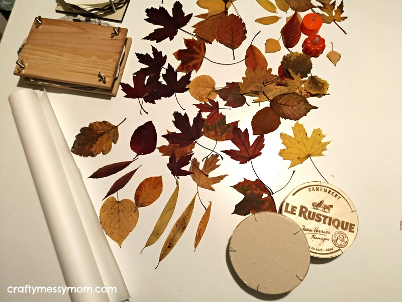 Autumn leaf lanterns - materials - at craftymessymom.com